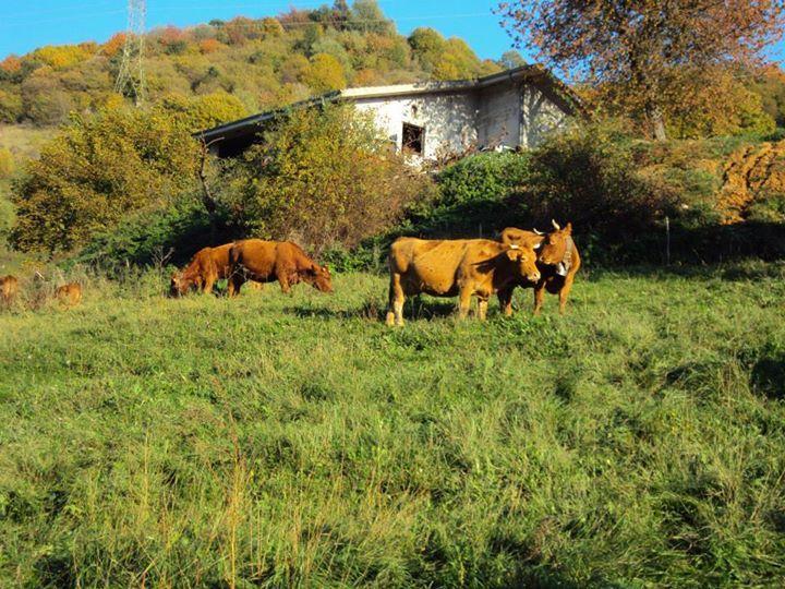 Agriturismo La Part سان زينو دي مونتانا المظهر الخارجي الصورة